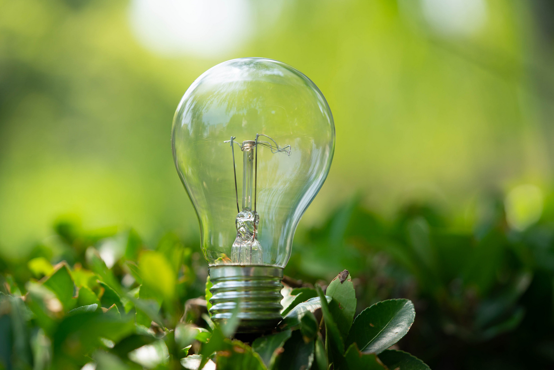 Energy Management &amp; Utilization