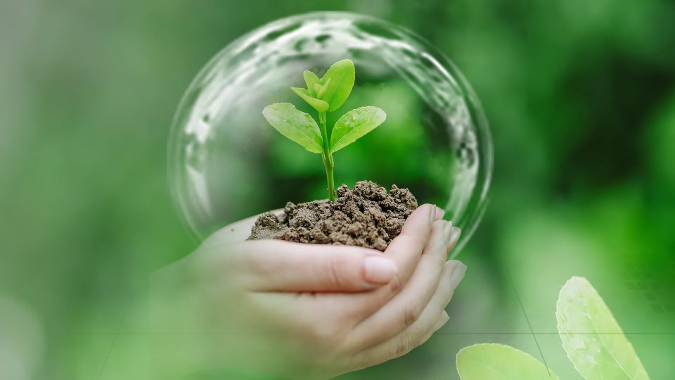 Environmental Compliance Management